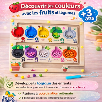 Jouet Montessori Stylo Magnétique – Tri Comptage Motricité Fine Enfant 2 3 ans