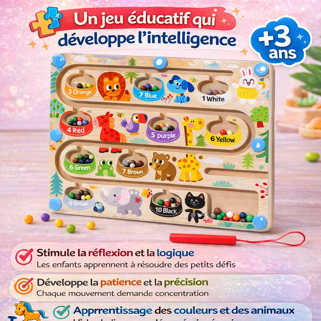 Jouet Montessori Stylo Magnétique – Tri Comptage Motricité Fine Enfant 2 3 ans