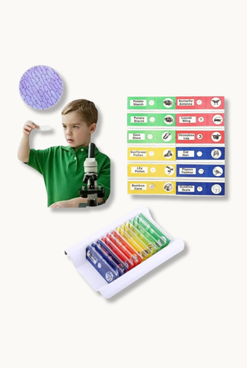 Lames de Microscope Préparées – Coffret Multicolore 12 pcs Jeuxpourtoi™