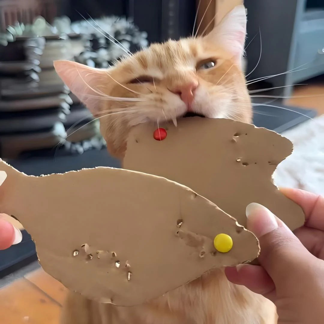 Kit Pêche Créatif™ — Jeu de Pêche en Carton à Fabriquer